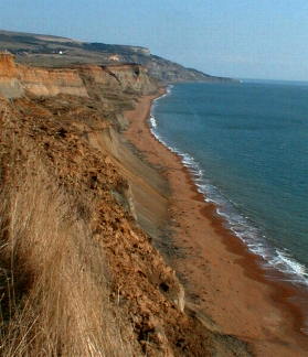 View East along cliffs to Whale chine. Blackgang and Niton Down. With Gore cliff and the Landslip in distance.